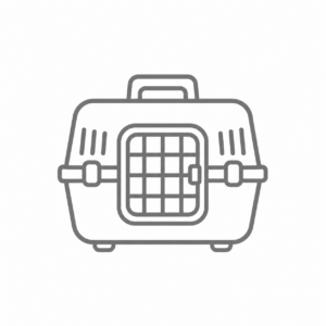 Transporte